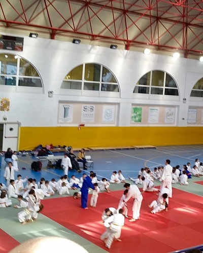 Exhibición Judo